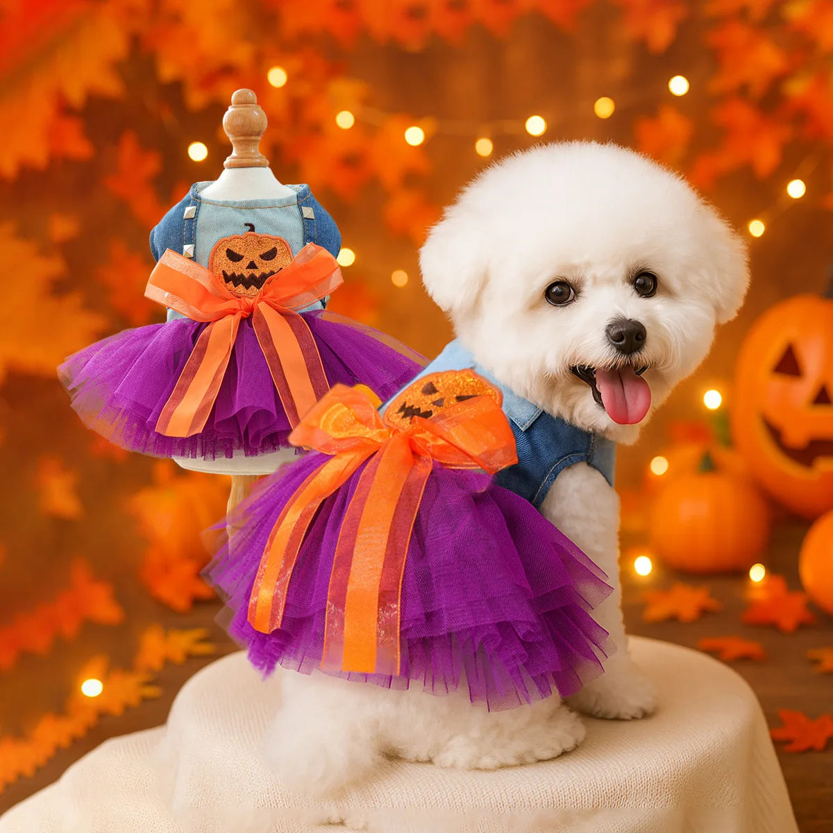 2025 Halloween Pet Costumes – Witch Bride Dress with Pumpkin & Skull Design for Dogs & Cats – Elegant Lace Dress Gothic Pirate