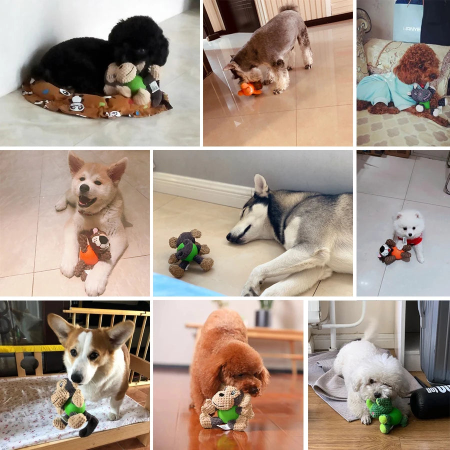 HOOPET Dog Toys for Dogs Puppy Toy for Large Dogs Plush Squeak Interactive Dog Ball Supply