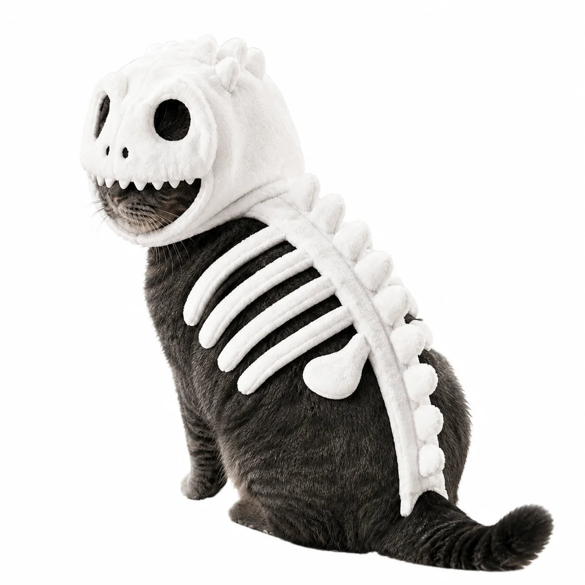 Funny Cat Costume Animal Skeleton Outfit for Halloween Party Glow in Dark Pet Costume Clothes Birthday Party Festival Props
