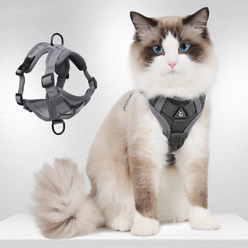 Breathable Cat Harness Leash for Small Medium Dogs Cats  Adjustable Reflective Harnesses Pets Vest Puppy Maine Sphynx Supplies
