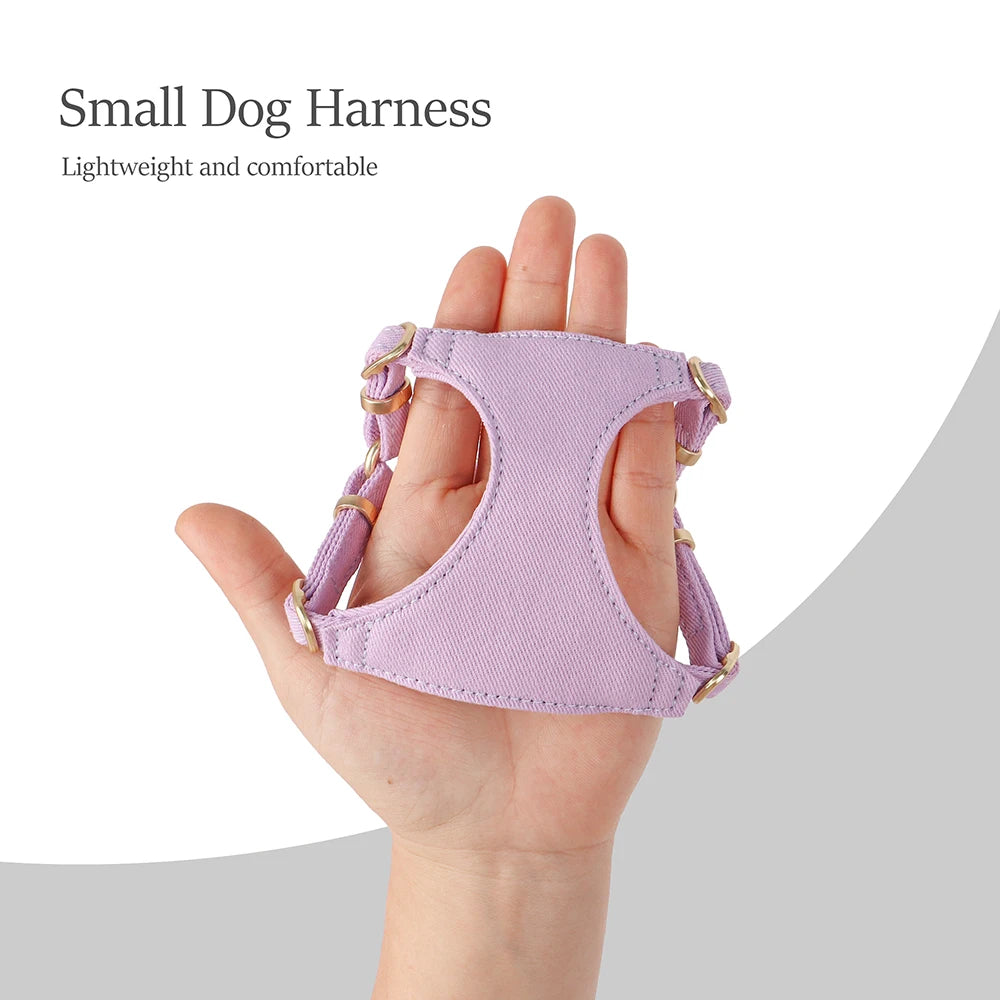 Small Dog Collar Harness Leash Set Cute Dog Collars With Bowknot Adjustable Pet Harnesses Vest for Small Medium Dogs Chihuahua