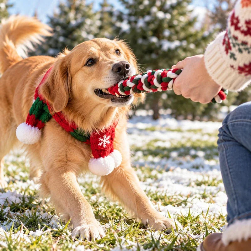 Christmas Dog Knot Toy Teeth Grinding Cotton Rope Dog Toy Love Cane Pet Toy Christmas Decoration Toy