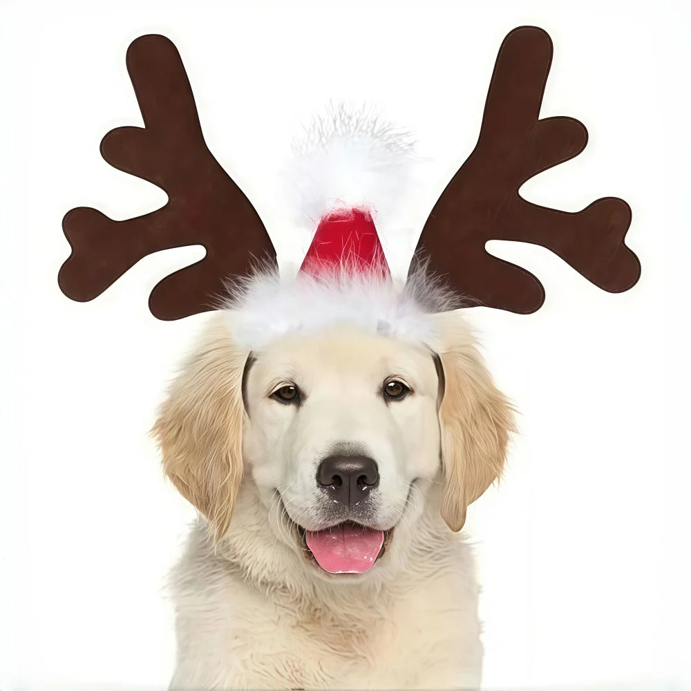 Halloween Ghost-shaped Pet Cloak Reindeer Horn Headband Dress-up Suit Cosplay for Medium and Large Dogs