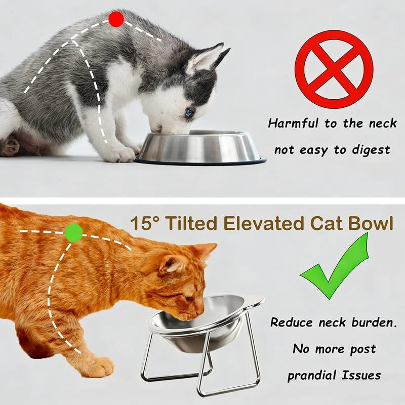 Cat Bowls Tilted Neck Guard Cat Food Bowl Indoor Stainless Steel Shatter Resistant Elevated 15° Pet Bowl For Kitten Puppy