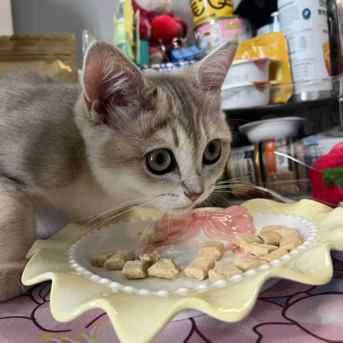 Love Cat Bowls Large Caliber Ceramic Bowl Pets Cute Puppies Kittens Pets Protecting The Neck Rice Bowl Cat Accessories Gifts