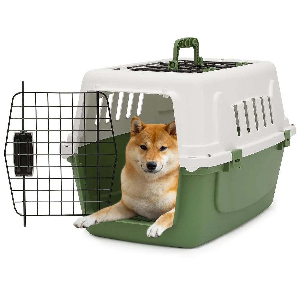 Athena Collection 18" Hard-Sided Travel Pet Carrier for Small Dogs and Cats, Plastic Dog Carriers with 2-Door Top & Front