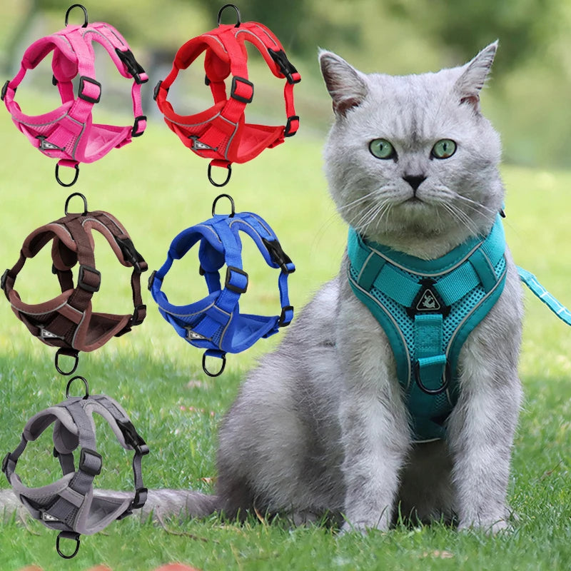 Breathable Cat Harness Leash for Small Medium Dogs Cats  Adjustable Reflective Harnesses Pets Vest Puppy Maine Sphynx Supplies