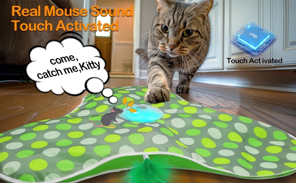 Smart Cat Toys Interactive Hide and Seek Cat Toy with Mouse Squeaky Motion Activated Moving Concealed Feathers Kitten Teaser Toy